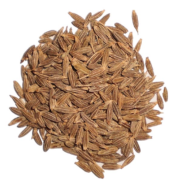 Cumin Seed