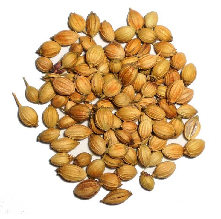 Coriander (Dhania) Powder [Image]