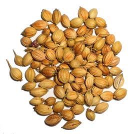 Coriander Seed